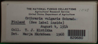 Image Associated With the Occurence